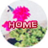 home_01 .jpg(3468 byte)